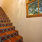 Tecolote